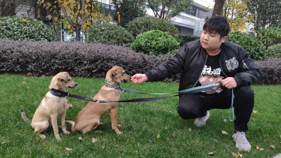 微信图片_20200107102509