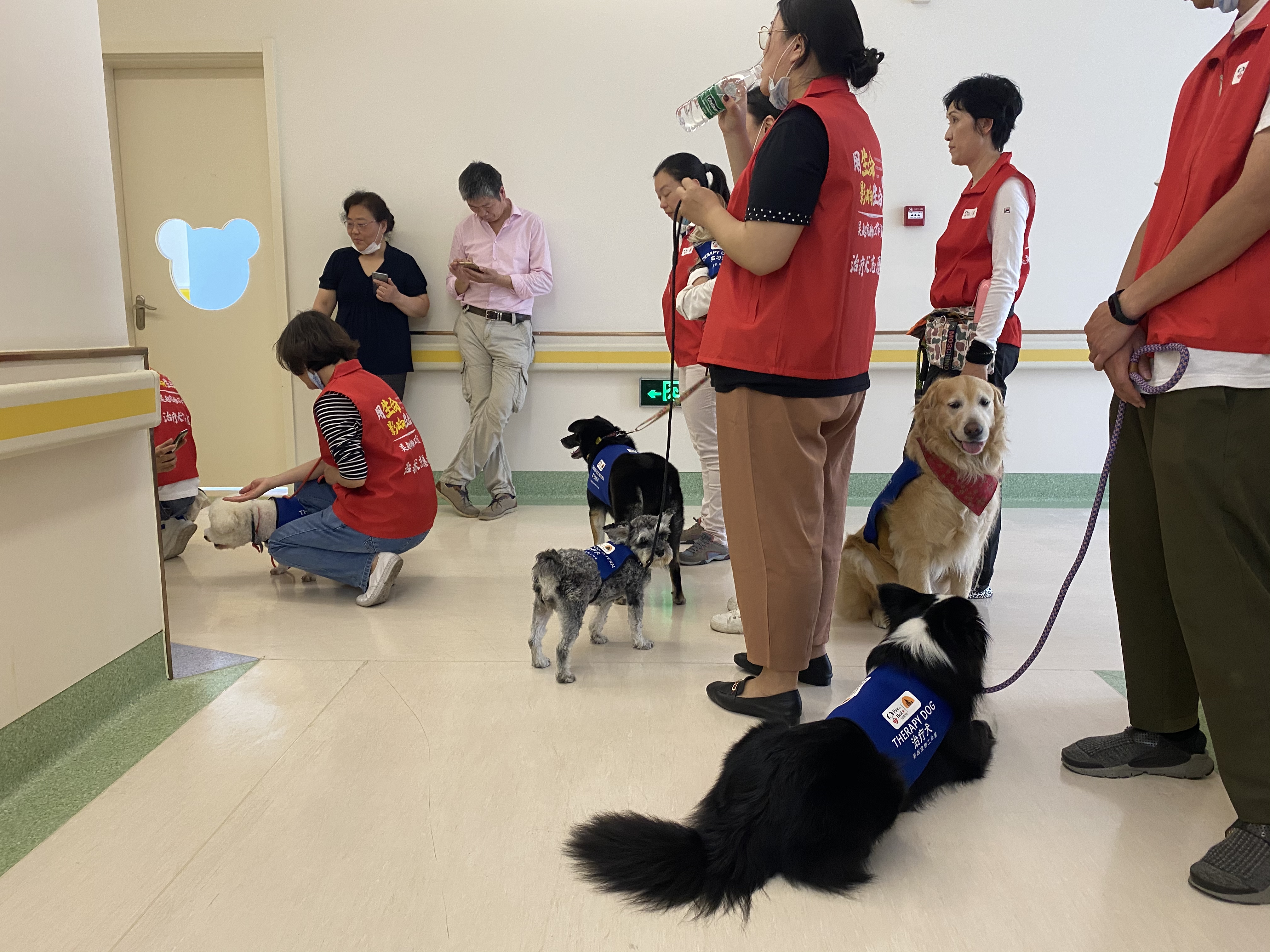 微信图片_20200707151933