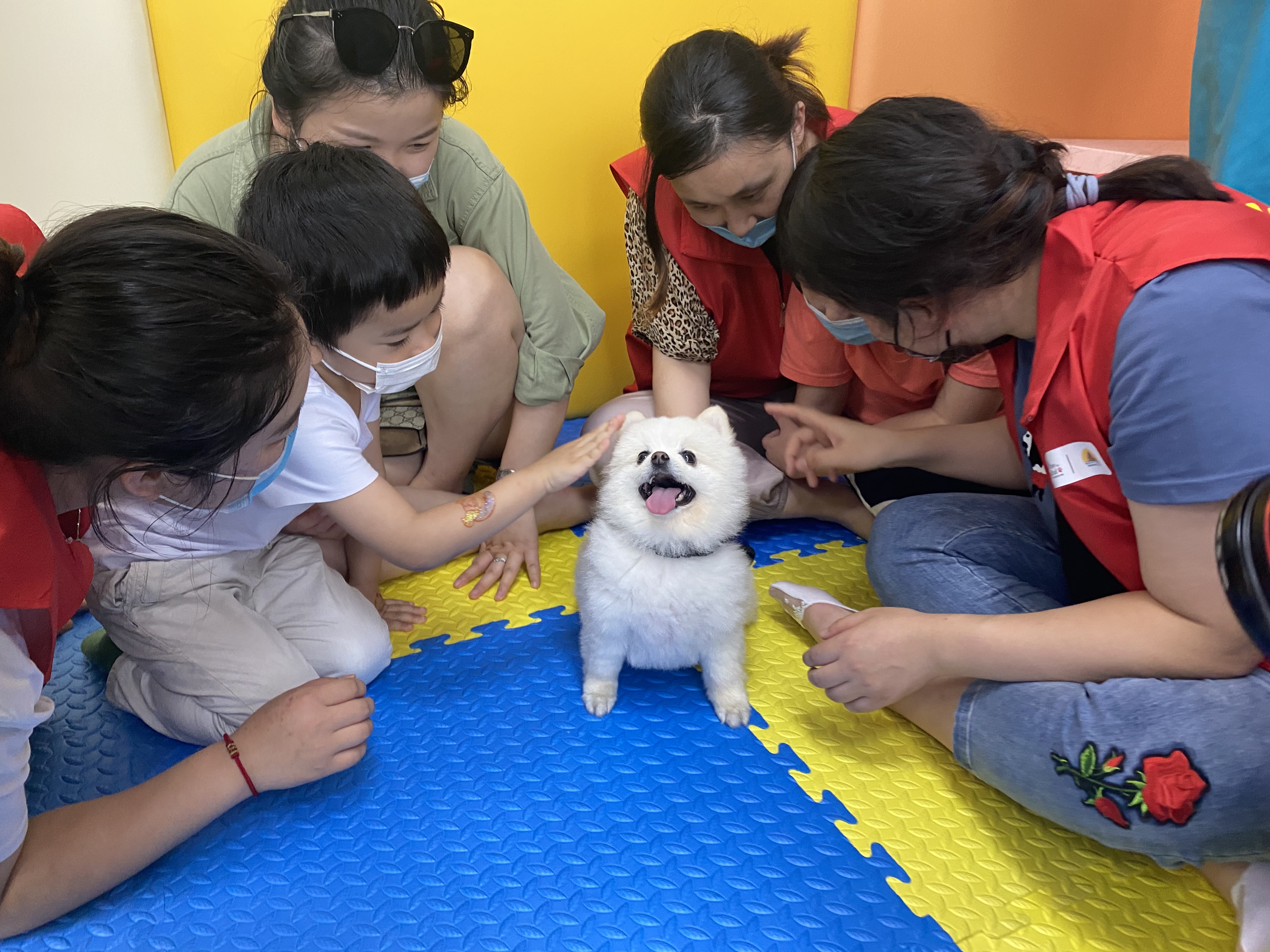 微信图片_20200707152228